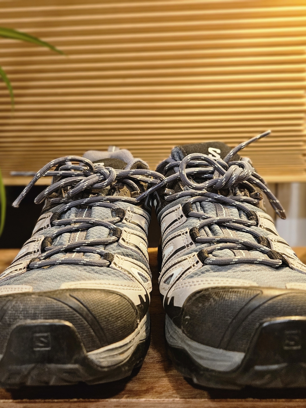 Salomon X Ultra Pioneer GTX Stormy - Picture 2 of 7